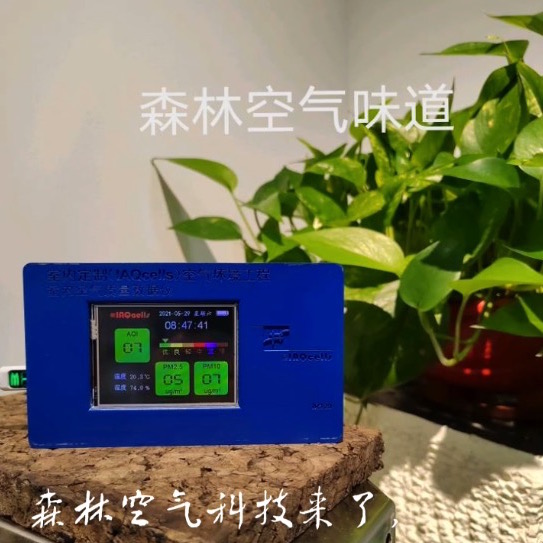 項(xiàng)目數(shù)據(jù)